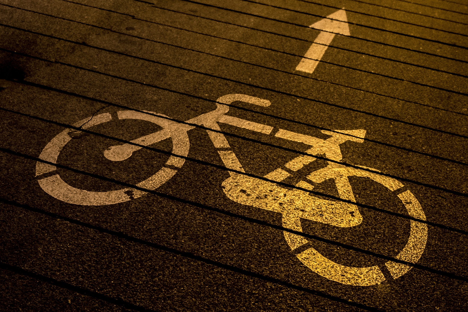 EL PSOE PRESENTÓ Y APROBÓ ALEGACIONES POR EL CARRIL BICI LA LEGISLATURA PASADA